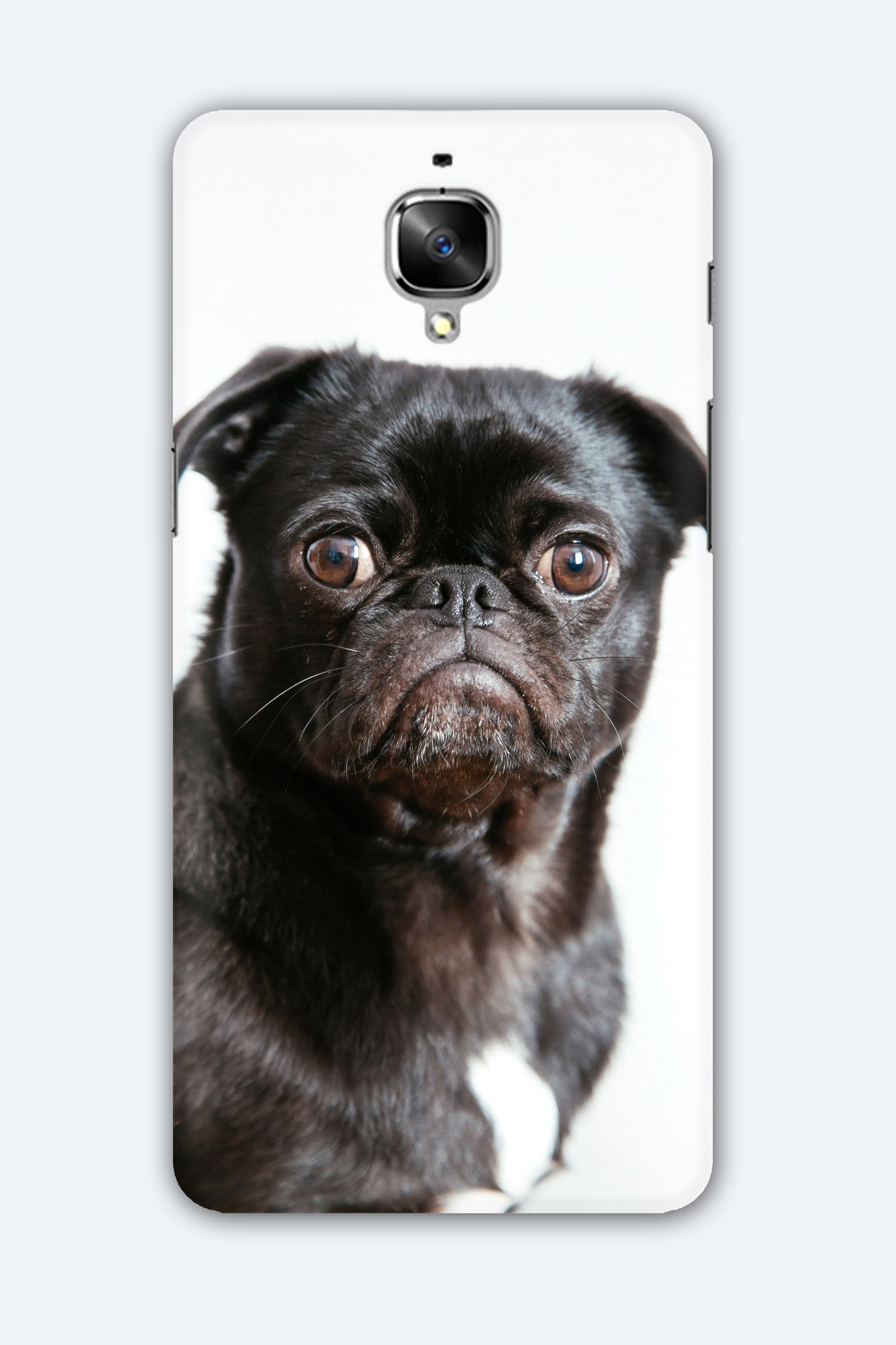 Black pug - OnePlus 3T Mobile Cover